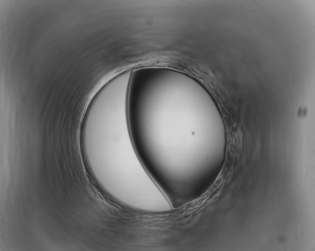 X0000097470100200802220838