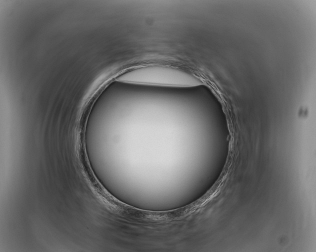 X0000097470101200802220838
