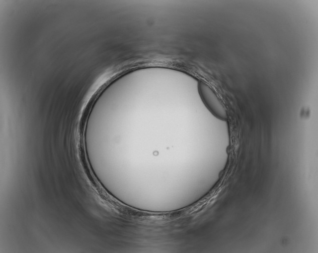 X0000097470102200802220838