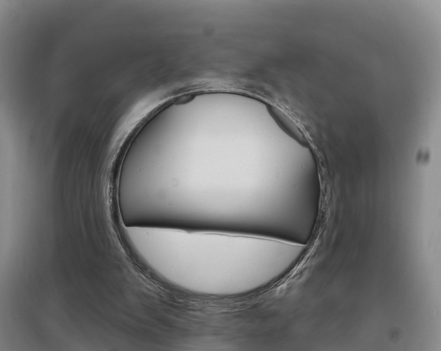 X0000097470103200802220838