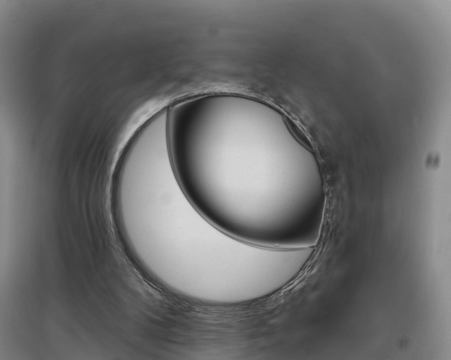 X0000097470104200802220838