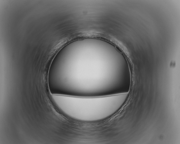 X0000097470105200802220838