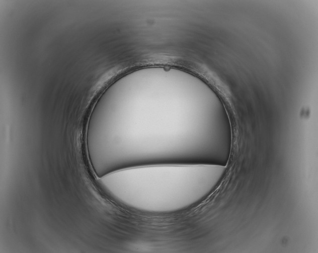 X0000097470107200802220838