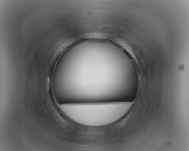 X0000097470109200802220838