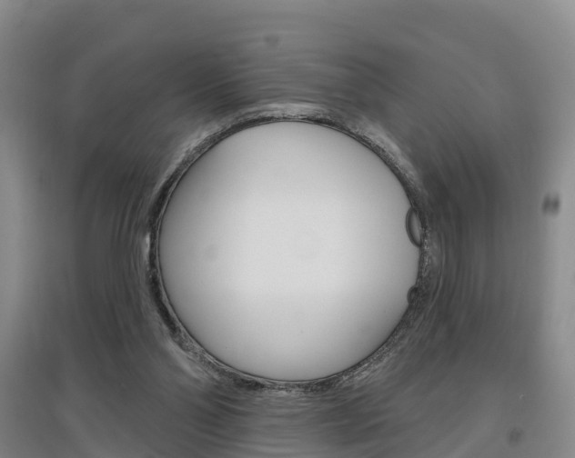X0000097470110200802220838