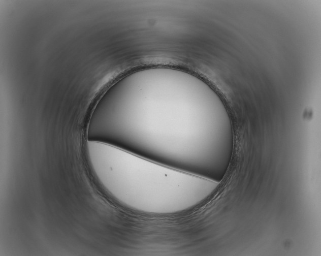 X0000097470111200802220838