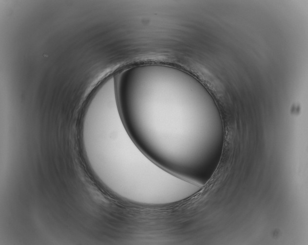 X0000097470112200802220838