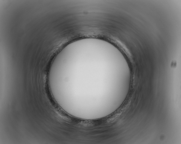 X0000097470113200802220838