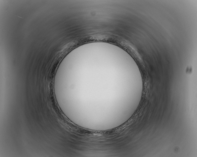 X0000097470114200802220838