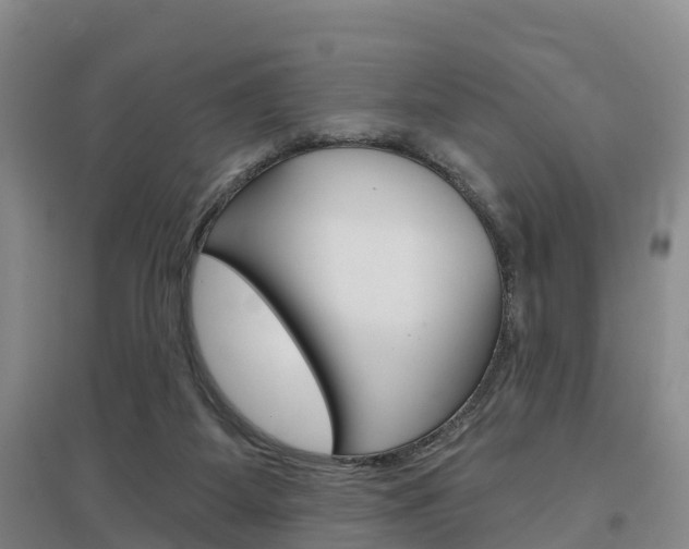 X0000097470115200802220838