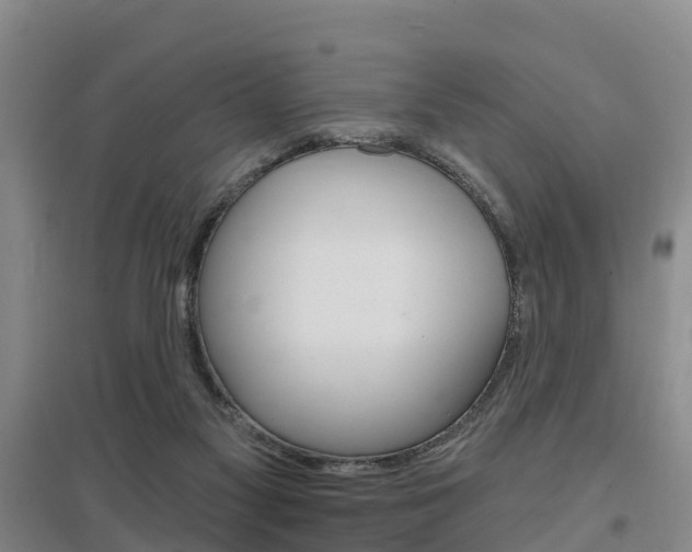 X0000097470117200802220838