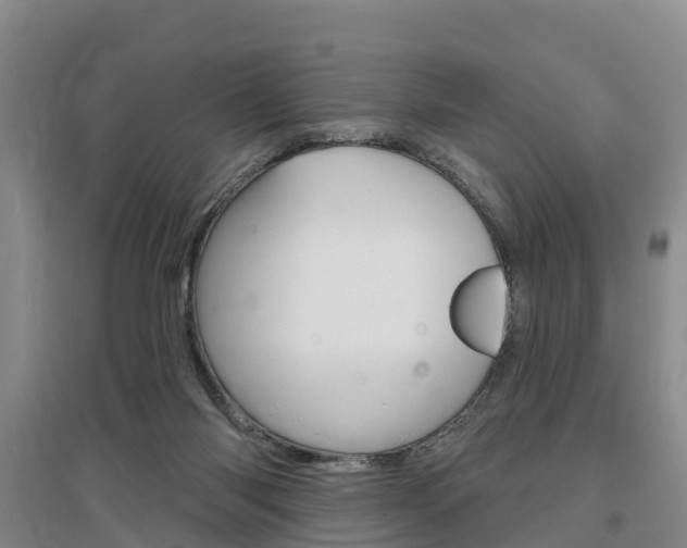 X0000097470118200802220838