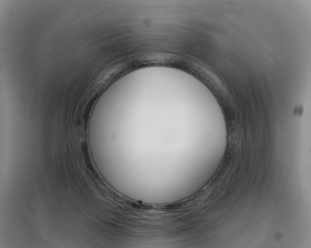 X0000097470119200802220838
