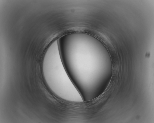 X0000097470120200802220838