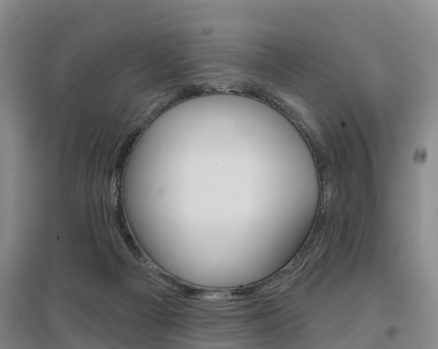 X0000097470121200802220838