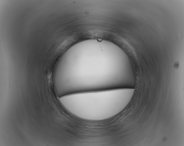 X0000097470123200802220838