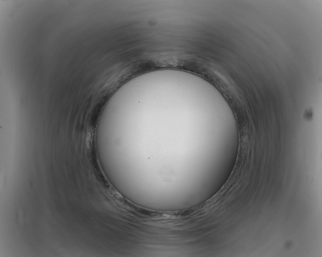 X0000097470125200802220838