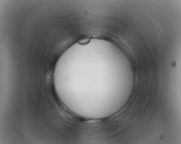 X0000097470126200802220838
