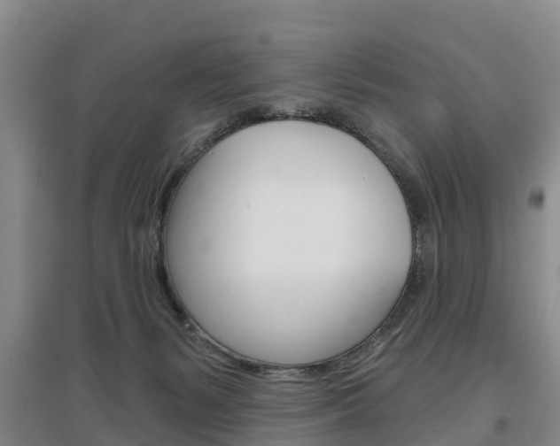 X0000097470127200802220838