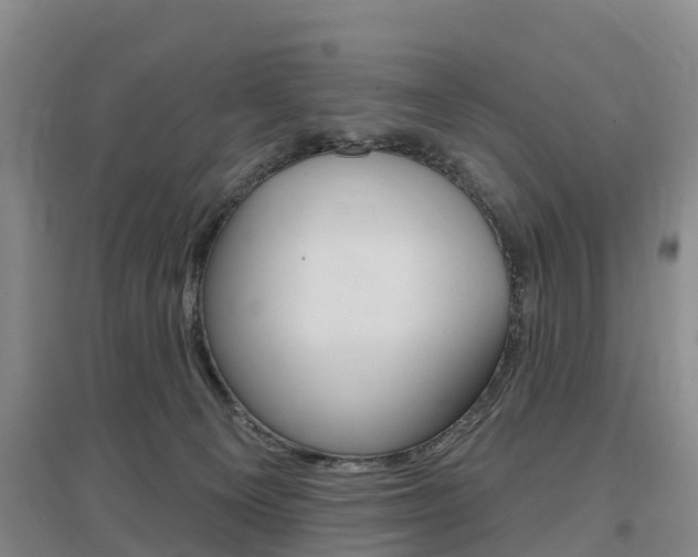 X0000097470129200802220838