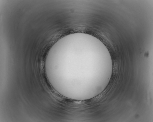 X0000097470130200802220838