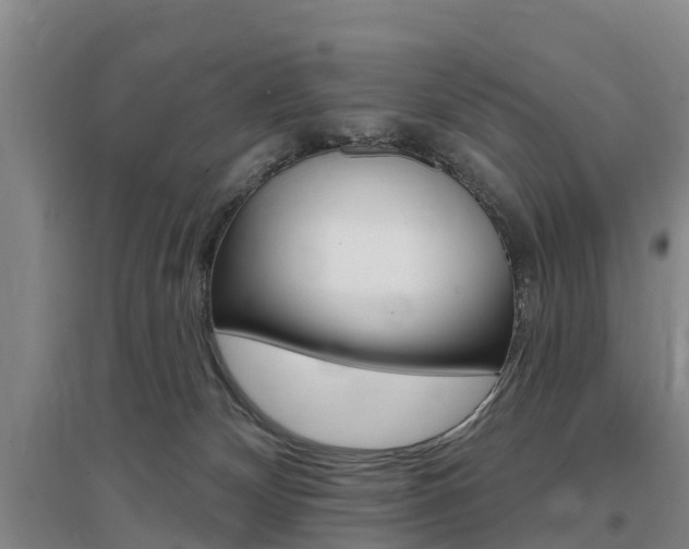 X0000097470132200802220838