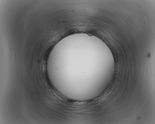 X0000097470135200802220837