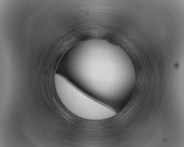 X0000097470137200802220837