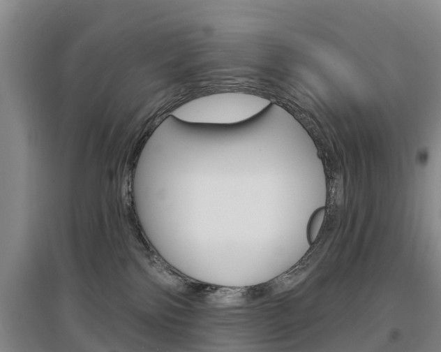 X0000097470138200802220837