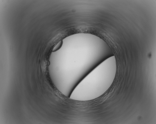 X0000097470139200802220837