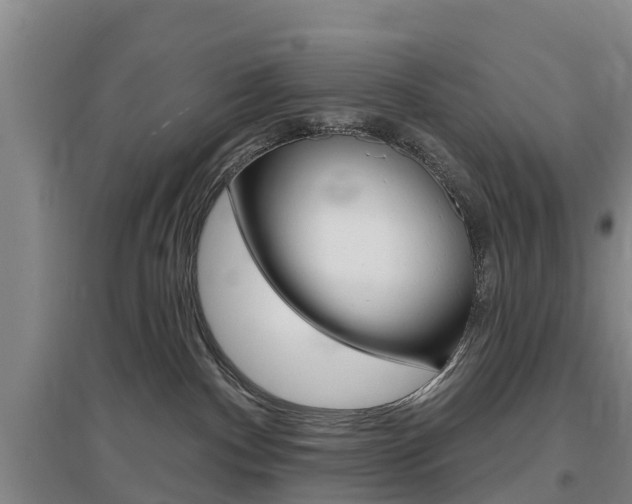 X0000097470140200802220837