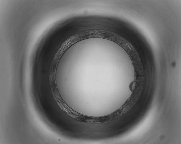 X0000097470143200802220837