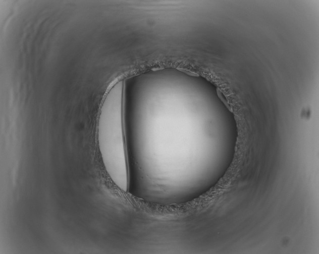 X0000097470144200802220837