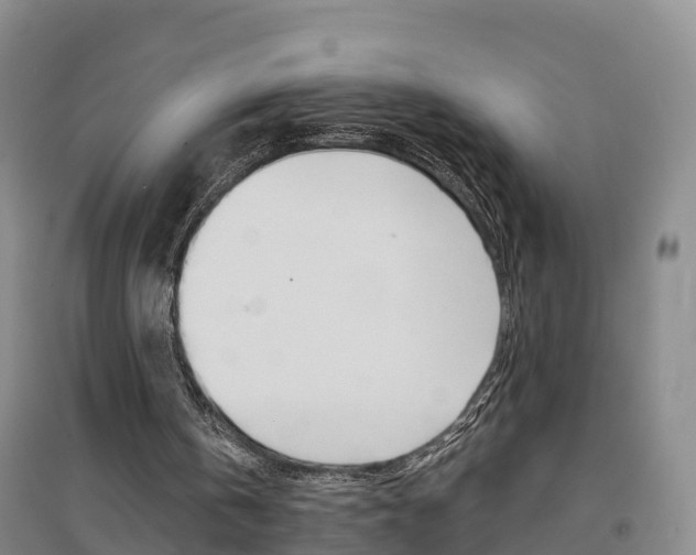 X0000097470146200802220837