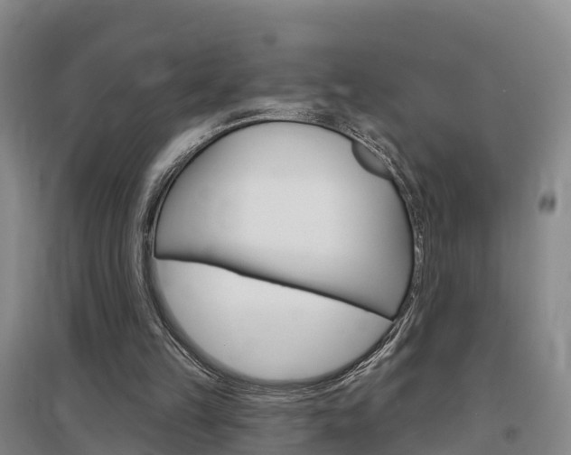 X0000097470149200802220837