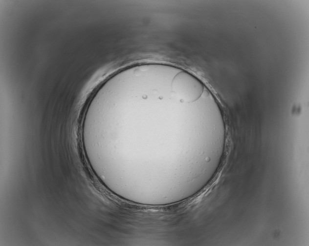 X0000097470151200802220837