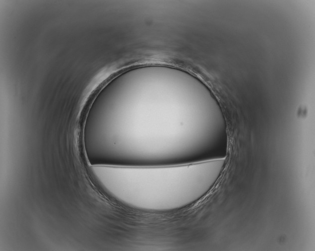 X0000097470152200802220837