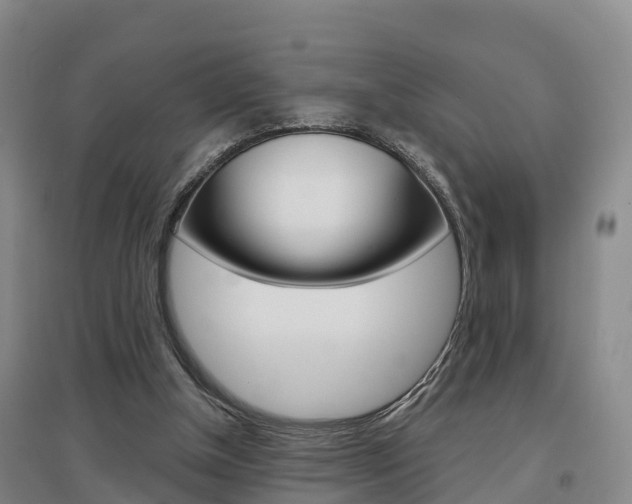 X0000097470154200802220837