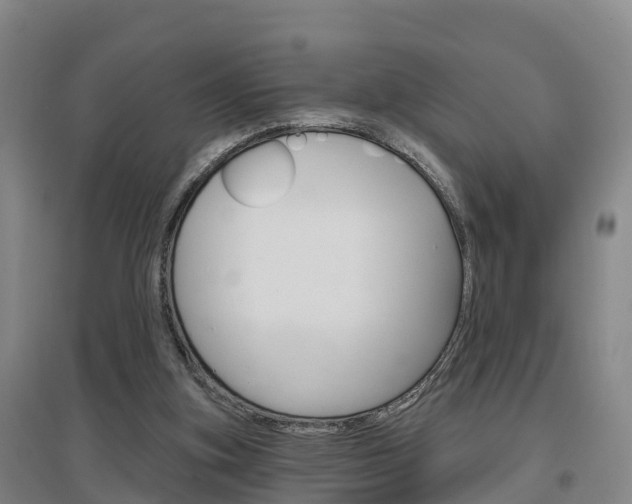 X0000097470155200802220837