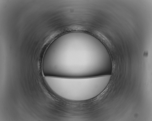 X0000097470158200802220837