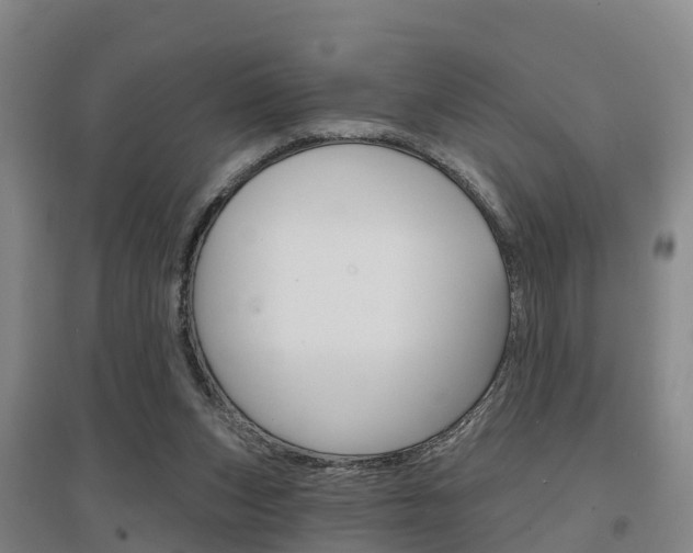 X0000097470159200802220837