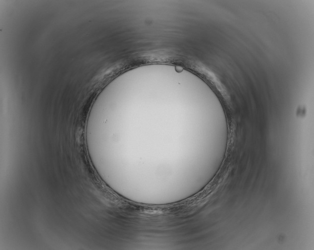 X0000097470161200802220837