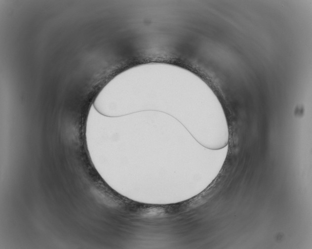 X0000097470162200802220837