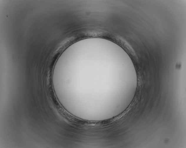 X0000097470163200802220837