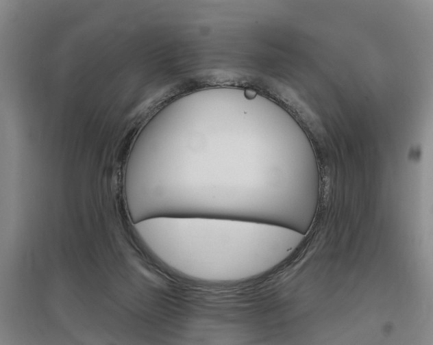 X0000097470165200802220837