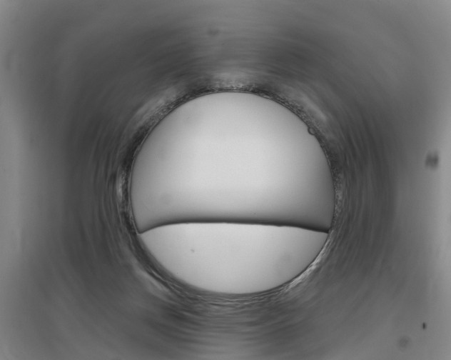 X0000097470166200802220837