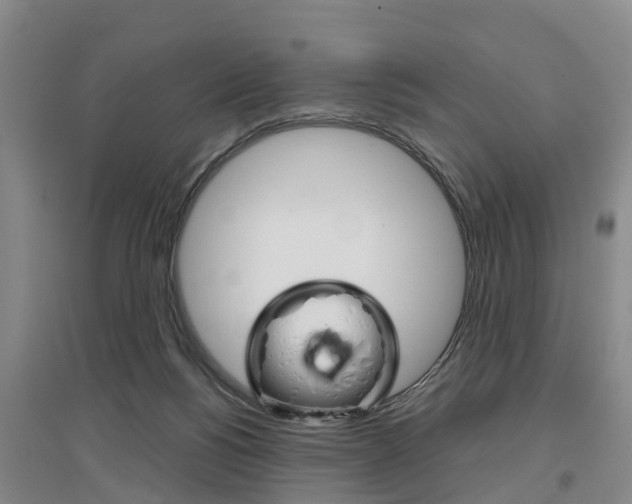 X0000097470168200802220837
