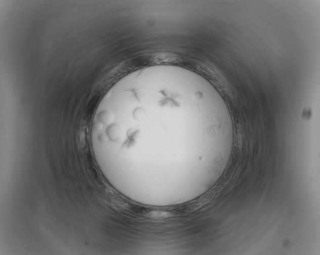 X0000097470169200802220837