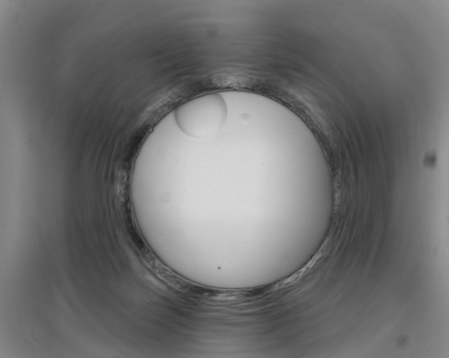 X0000097470171200802220837