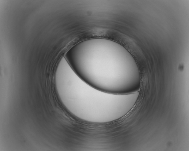 X0000097470172200802220837